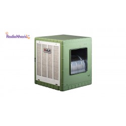 خرید کولر آبی آبسال 5500 مدل AC55 با قیمت مناسب از نمایندگی آبسال همراه با مشاوره صوتی رایگان و ارسال فوری - رادیو خرید